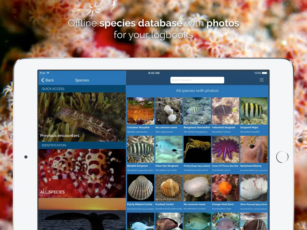 Tortuba iPad screenshot 02
