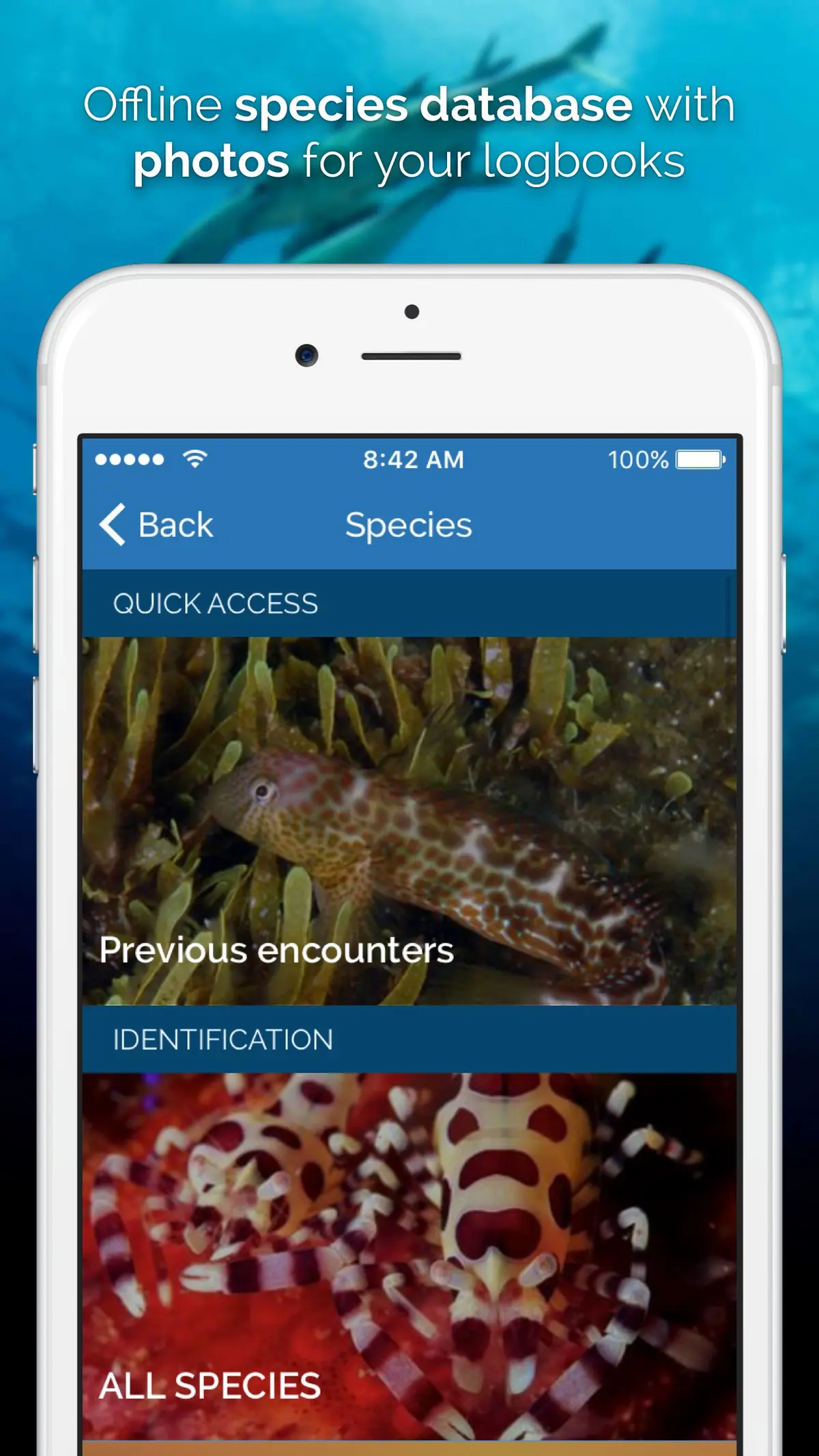 Tortuba iPhone screenshot 02
