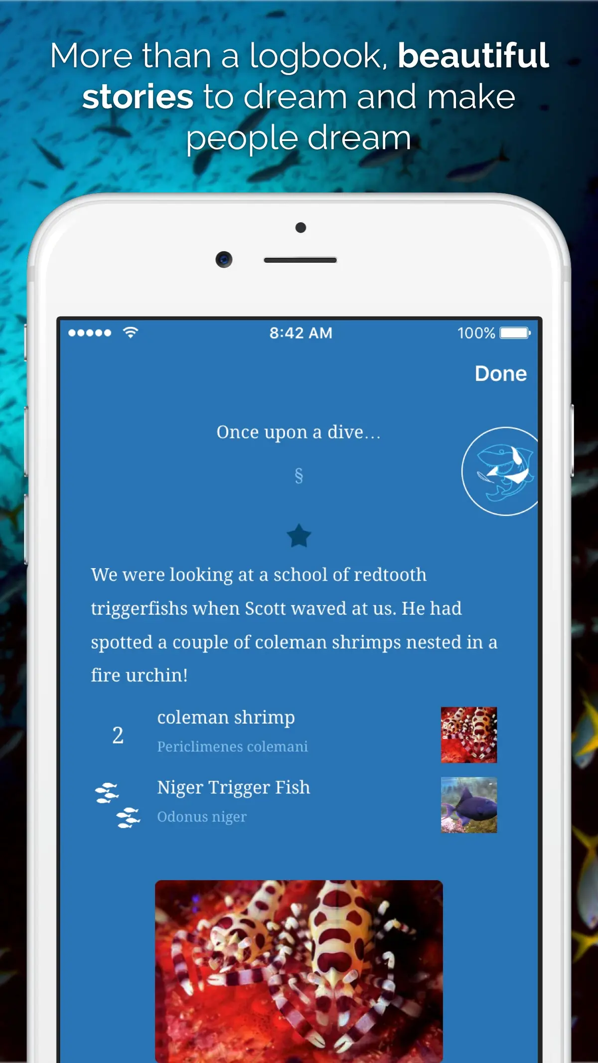 Tortuba iPhone screenshot 03
